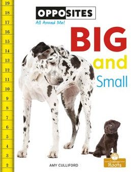 Big and Small on Sale